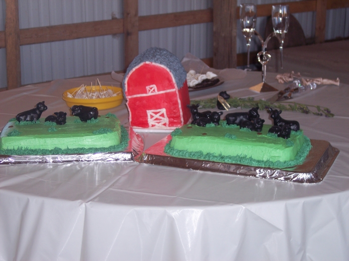 It was 103 degrees, the barn cake looked more like a tornado hit it by the time the picture was taken.