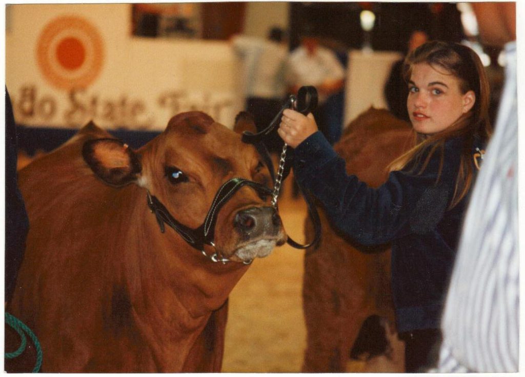 Showing my Tarentaise cow, Brie, at Colorado State Fair. 1994